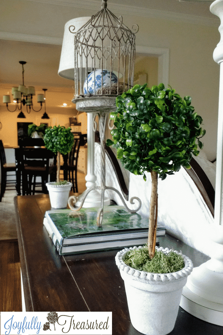 boxwood topiary DIY