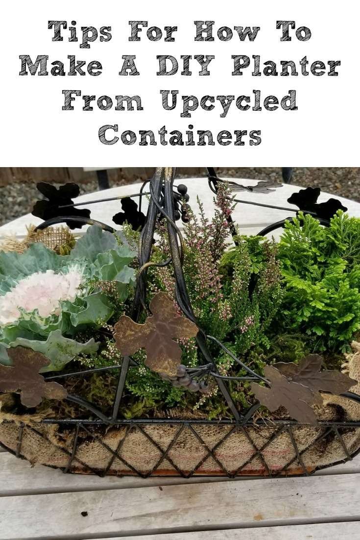 DIY succulent planter from upcycled materials to add to your succulent display