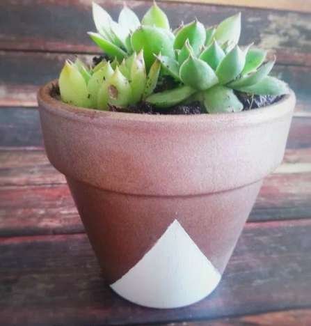 Succulents planter DIY inspiration