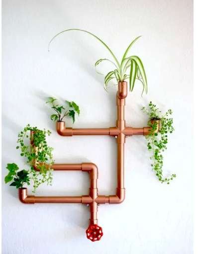 hanging succulents ideas for your home decor