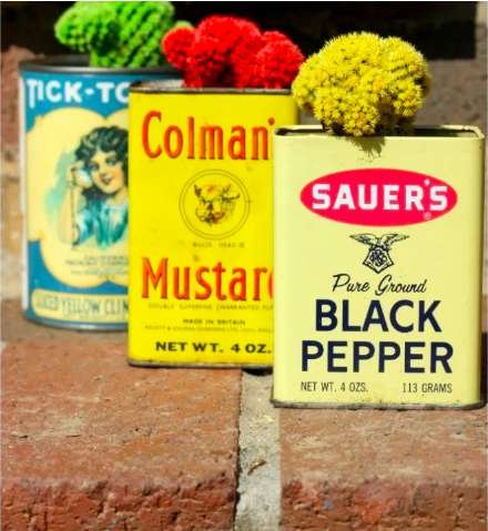 make succulent pots from vintage cans (so clever! )